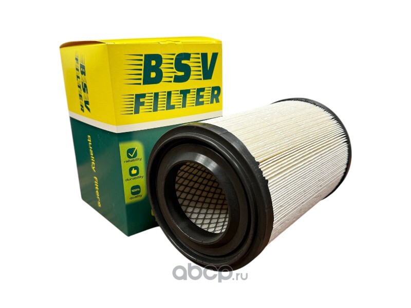 BSV BSV45063011