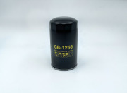 BIG FILTER GB1256 