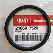 Hyundai-KIA 210607520