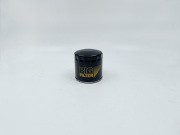 BIG FILTER GB1250 
