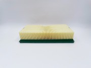BIG FILTER GB9639 