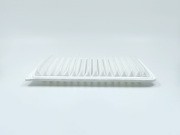 BIG FILTER GB900 