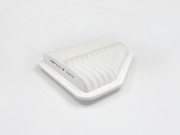 BIG FILTER GB901 