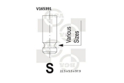 Bga V165391